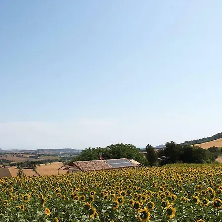 La Retta Di Paglia - Casetta In Bioedilizia Recanati