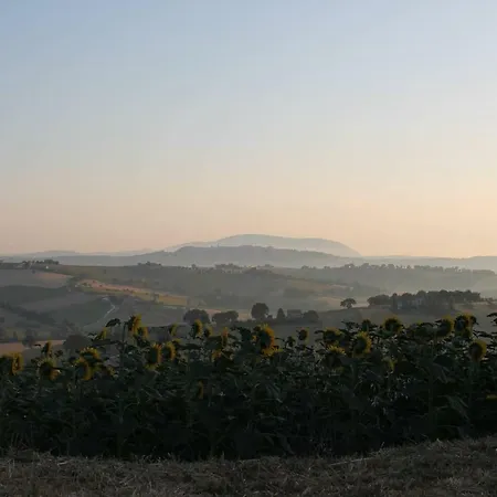 La Retta Di Paglia - Casetta In Bioedilizia ريكاناتي